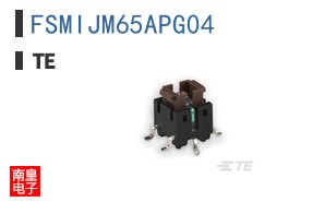 FSMIJM65APG04