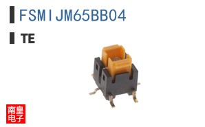 FSMIJM65BB04