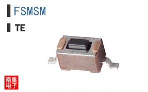 FSMSM