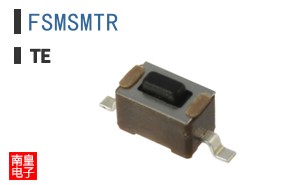 FSMSMTR