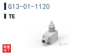 G13-01-1120