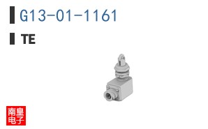 G13-01-1161