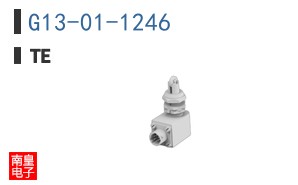 G13-01-1246