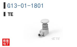 G13-01-1801