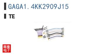 GAGA1.4KK2909J15