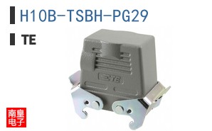 H10B-TSBH-PG29