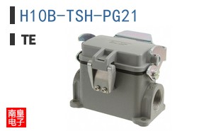 H10B-TSH-PG21