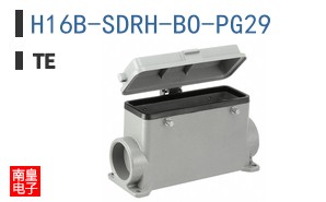 H16B-SDRH-BO-PG29
