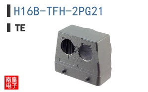 H16B-TFH-2PG21