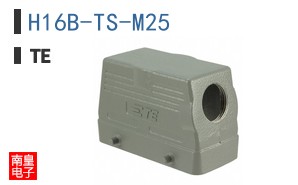 H16B-TS-M25