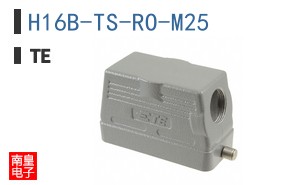 H16B-TS-RO-M25