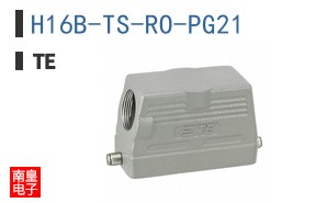 H16B-TS-RO-PG21