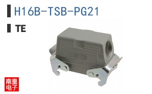 H16B-TSB-PG21