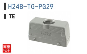 H24B-TG-PG29