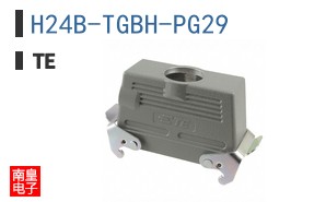 H24B-TGBH-PG29