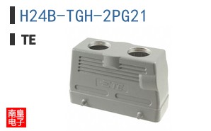 H24B-TGH-2PG21