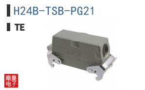 H24B-TSB-PG21