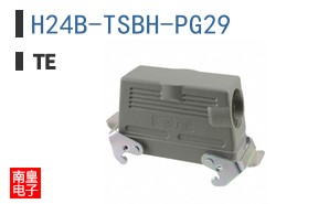 H24B-TSBH-PG29