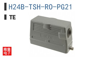 H24B-TSH-RO-PG21