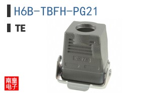 H6B-TBFH-PG21