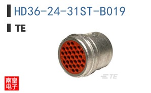 HD36-24-31ST-B019