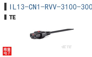 IL13-CN1-RVV-3100-300