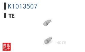 K1013507