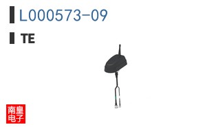 L000573-09
