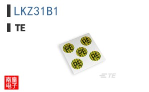 LKZ31B1
