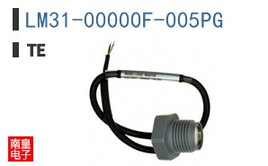 LM31-00000F-005PG