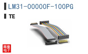 LM31-00000F-100PG