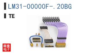 LM31-00000F-.20BG