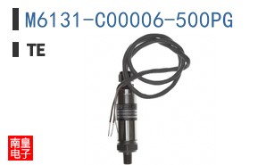 M6131-C00006-500PG