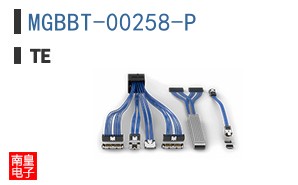 MGBBT-00258-P