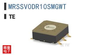 MRSSV0DR10SMGWT