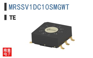 MRSSV1DC10SMGWT