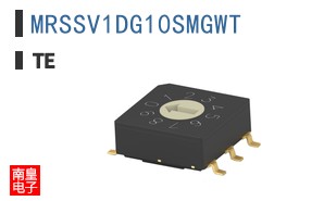 MRSSV1DG10SMGWT