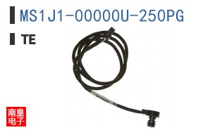 MS1J1-00000U-250PG