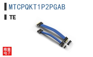 MTCPQKT1P2PGAB
