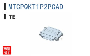 MTCPQKT1P2PGAD