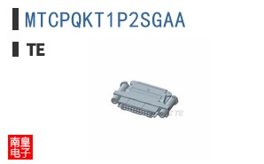MTCPQKT1P2SGAA