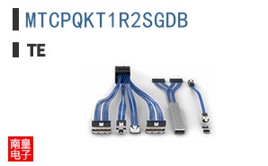 MTCPQKT1R2SGDB