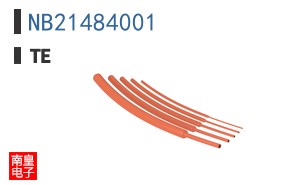 NB21484001