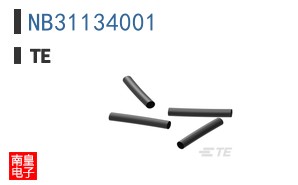 NB31134001