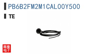 PB6B2FM2M1CAL00Y500