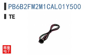 PB6B2FM2M1CAL01Y500