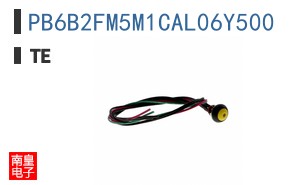 PB6B2FM5M1CAL06Y500