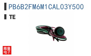 PB6B2FM6M1CAL03Y500