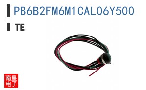 PB6B2FM6M1CAL06Y500
