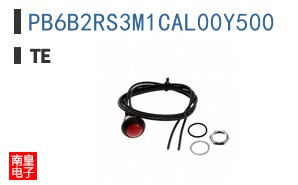 PB6B2RS3M1CAL00Y500